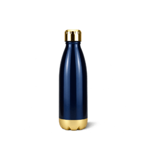 Hampton Bottle Gold